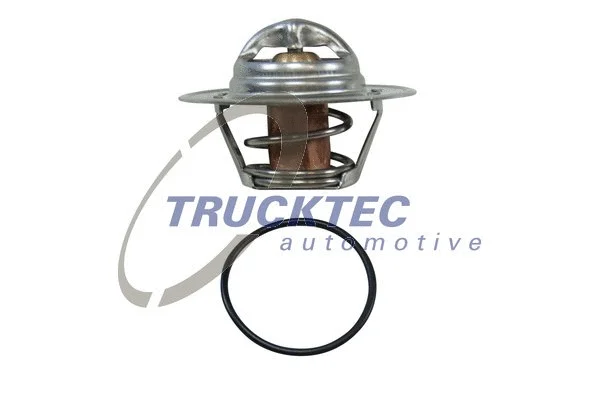 Thermostat, coolant (07.19.204)