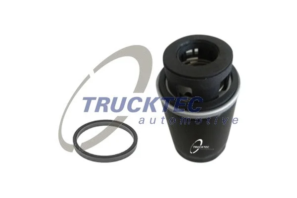 Oil Filter (07.18.060)