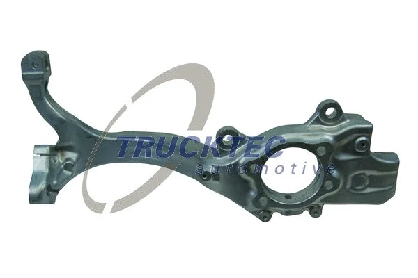 Steering Knuckle, wheel suspension (07.31.166)