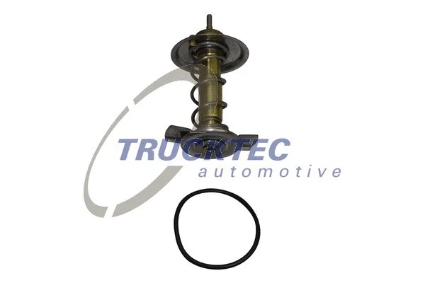 Thermostat, coolant (02.19.237)