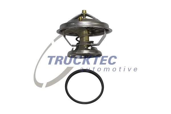 Thermostat, coolant (02.19.113)