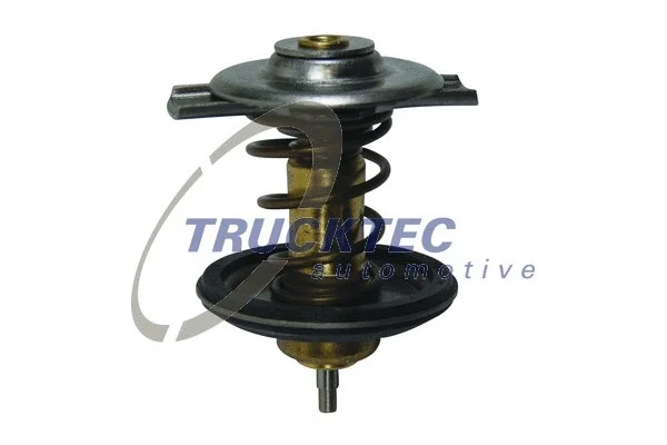 Thermostat, coolant (02.19.239)