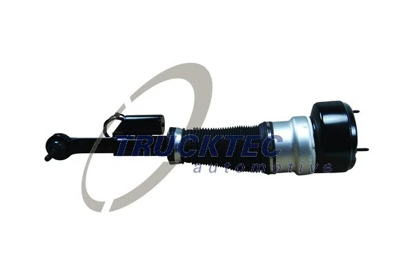 Air Suspension Strut (02.30.386)