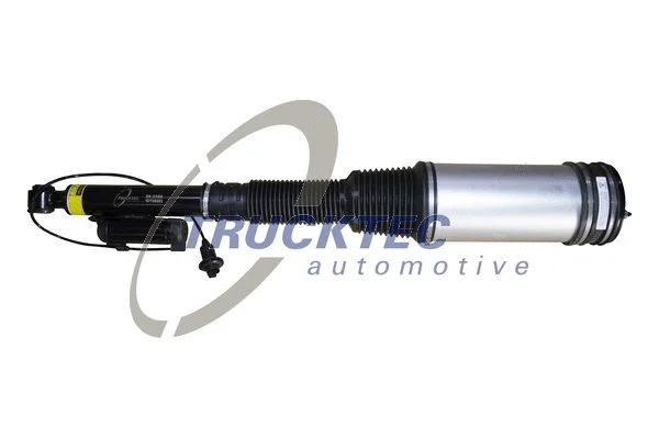 Air Suspension Strut (02.30.148)
