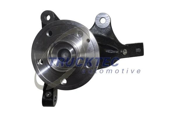 Steering Knuckle, wheel suspension (02.31.412)