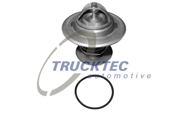 Thermostat, coolant (07.19.030)