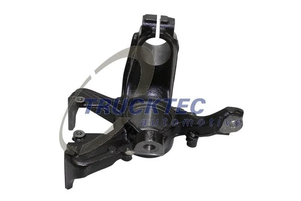 Steering Knuckle, wheel suspension (07.31.303)