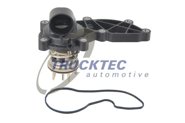 Thermostat, coolant (07.19.262)