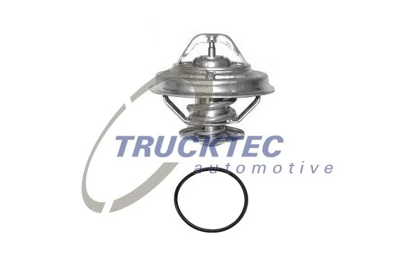 Thermostat, coolant (07.19.214)