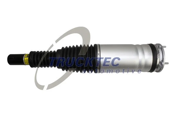 Air Suspension Strut (22.30.010)