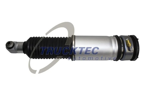 Air Suspension Strut (08.30.041)