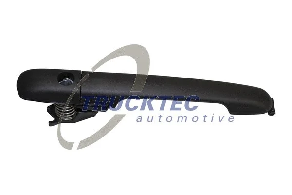 Exterior Door Handle (02.53.071)