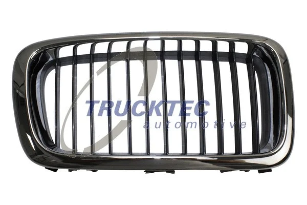 Radiator Grille (08.62.262)