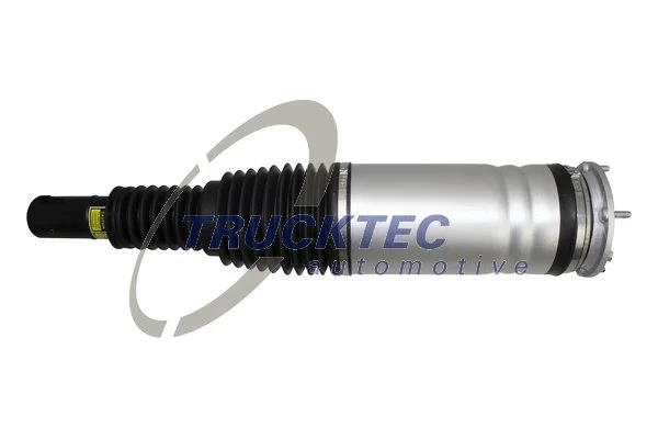 Air Suspension Strut (22.30.011)