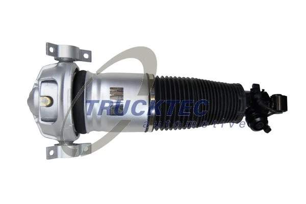 Air Suspension Strut (07.30.142)
