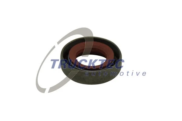 Shaft Seal, manual transmission flange (07.24.001)