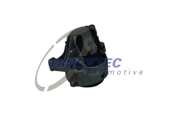 Mounting, engine (07.20.066)