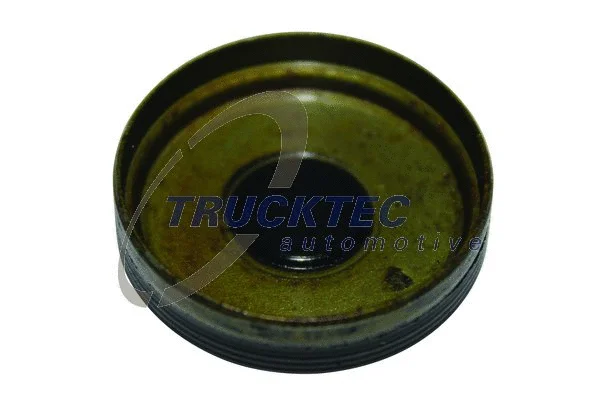 Locking Cover, camshaft (02.10.086)