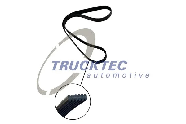 V-Ribbed Belt (07.19.273)