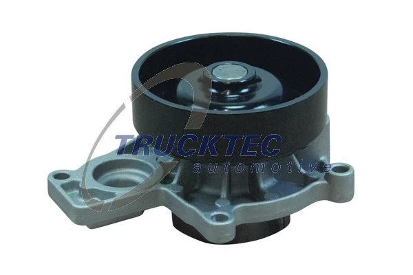 Water Pump, engine cooling (08.19.245)