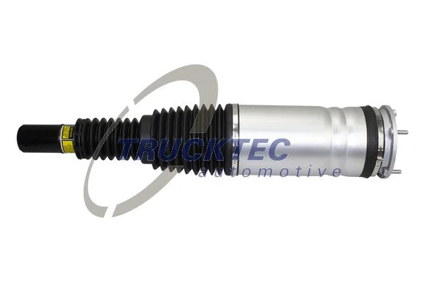 Air Suspension Strut (22.30.008)