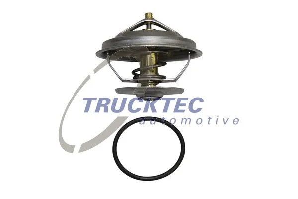 Thermostat, coolant (02.19.005)