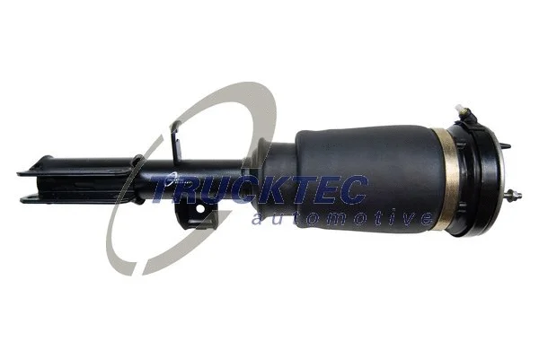 Air Suspension Strut (08.30.038)