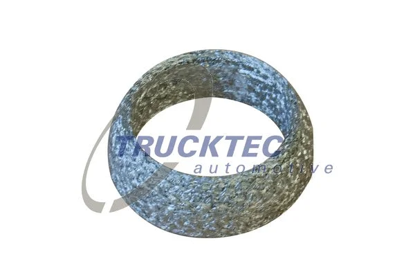 Seal Ring, exhaust pipe (02.39.095)