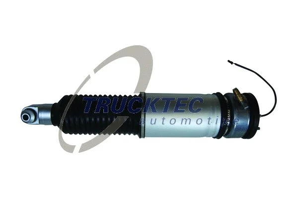 Air Suspension Strut (08.30.042)