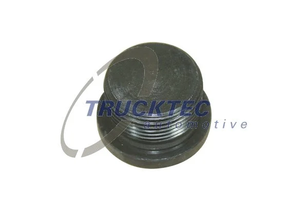 Screw Plug, axle drive (01.67.056)