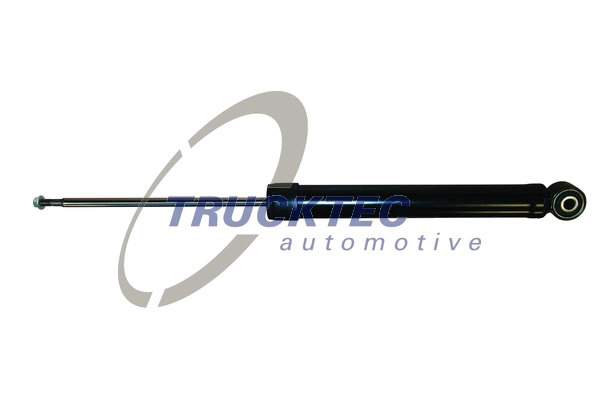 Shock Absorber (07.30.198)