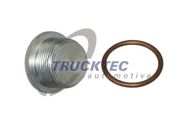 Screw Plug, oil sump (02.43.287)