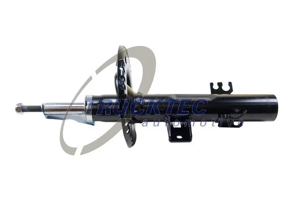 Shock Absorber (07.30.156)