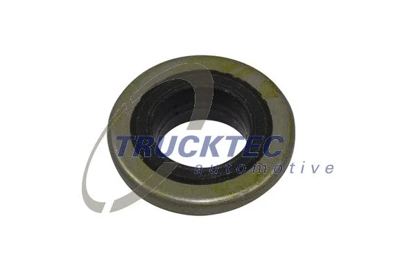 Seal Ring, cylinder head cover bolt (01.10.190)