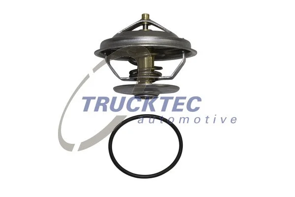 Thermostat, coolant (02.19.006)