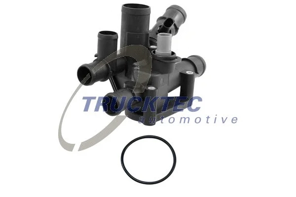 Thermostat, coolant (07.19.106)