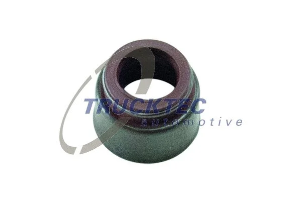 Seal Ring, valve stem (01.12.077)