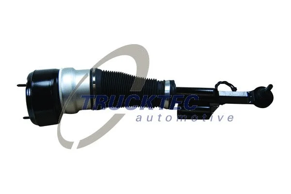 Air Suspension Strut (02.30.385)