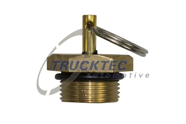 Water Drain Valve (01.35.007)