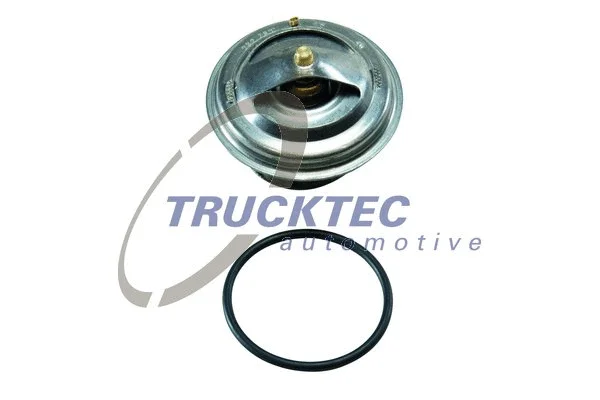 Thermostat, coolant (01.19.063)