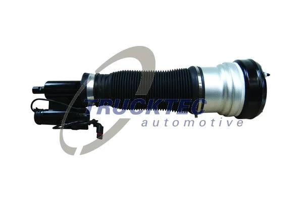 Air Suspension Strut (02.30.381)