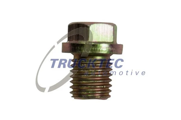 Screw Plug, oil sump (08.10.029)