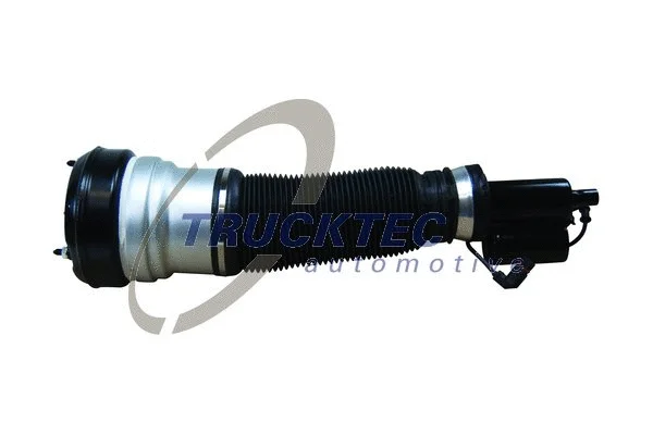 Air Suspension Strut (02.30.380)