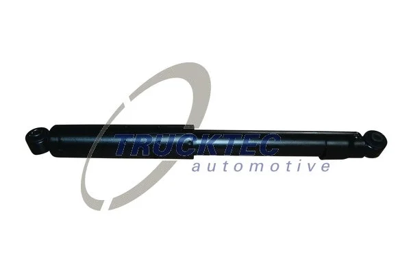 Shock Absorber (07.30.209)