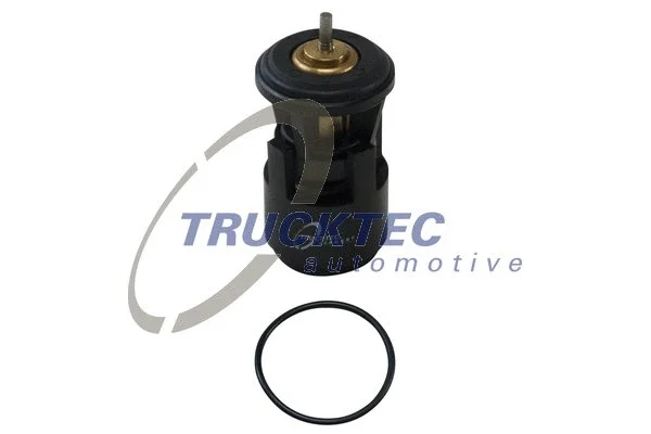 Thermostat, coolant (07.19.009)