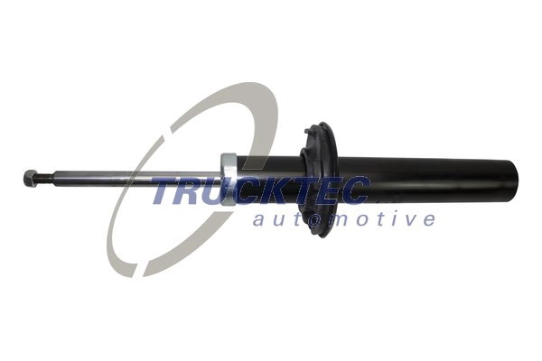 Shock Absorber (07.30.196)