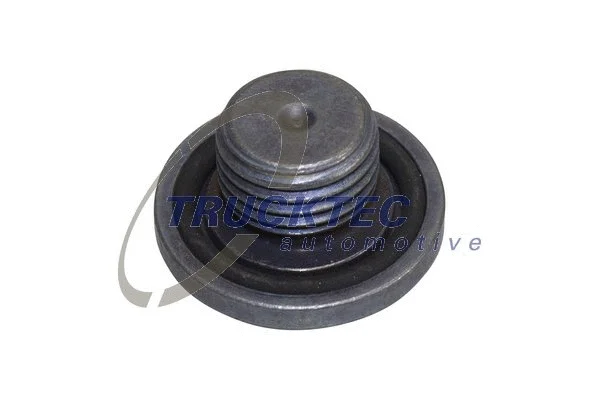 Screw Plug, oil sump (02.18.165)