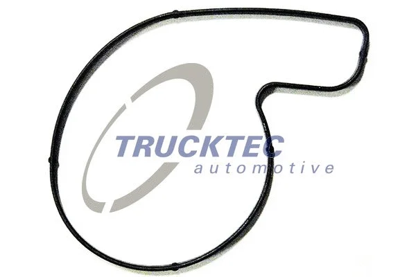 Gasket, water pump (02.19.018)