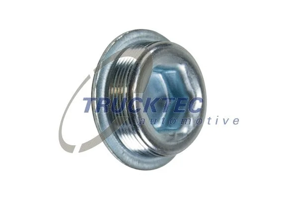 Screw Plug, crankcase (02.10.099)