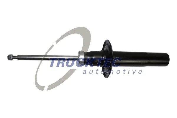 Shock Absorber (07.30.193)